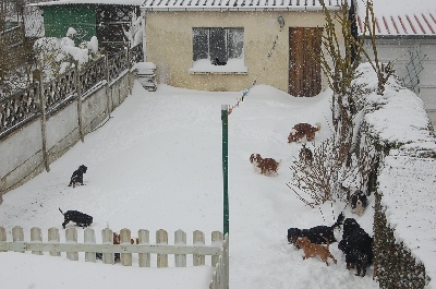 des cavaliers de Loveruva - neige..neige..neige sur le Nord