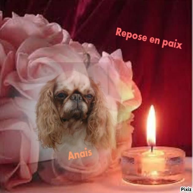 Hommage à Annaïs